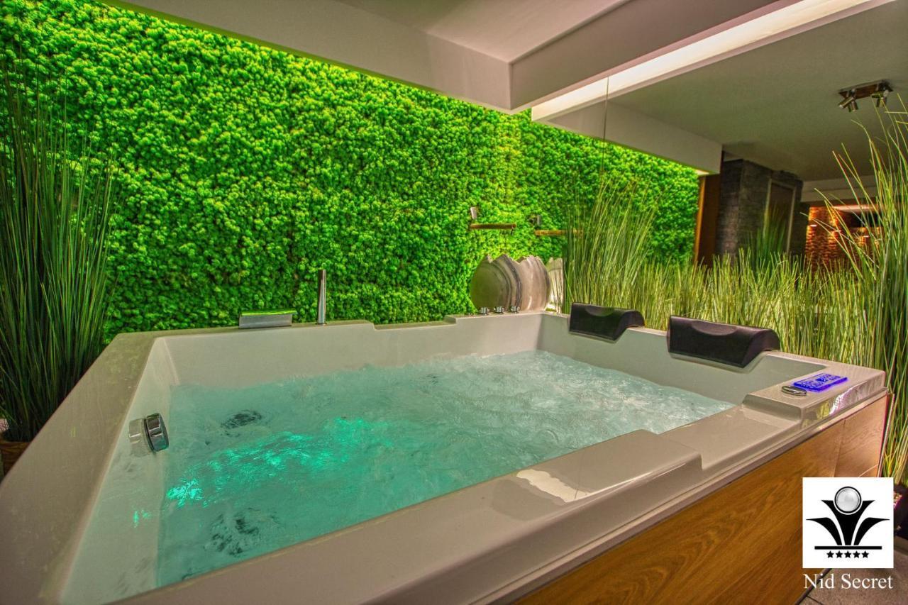 Panoramique 180 Lac Et Montagne Et Nid Secret Spa Romantique Аннесі Екстер'єр фото